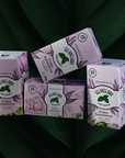 Infusiones Amazónicas de Asaí- Selvaclara - Colección Amazonía Asaí