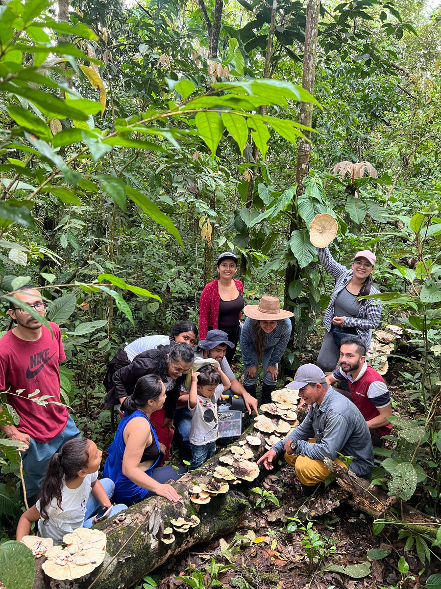 🌳 Conociendo para Cuidar: Monitoreo Comunitario de la Biodiversidad en el Caquetá