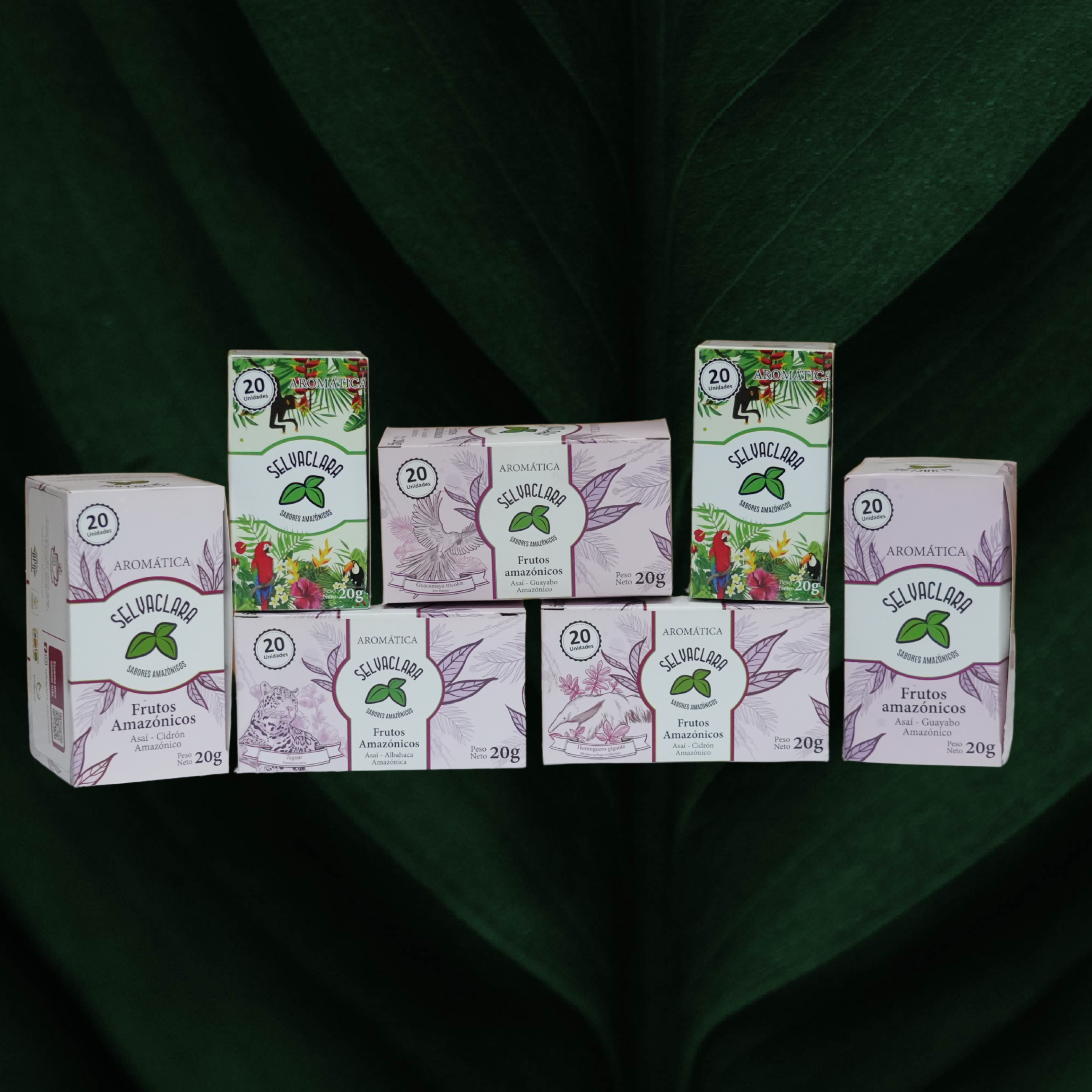Infusiones Amazónicas de Asaí- Selvaclara - Colección Amazonía Asaí
