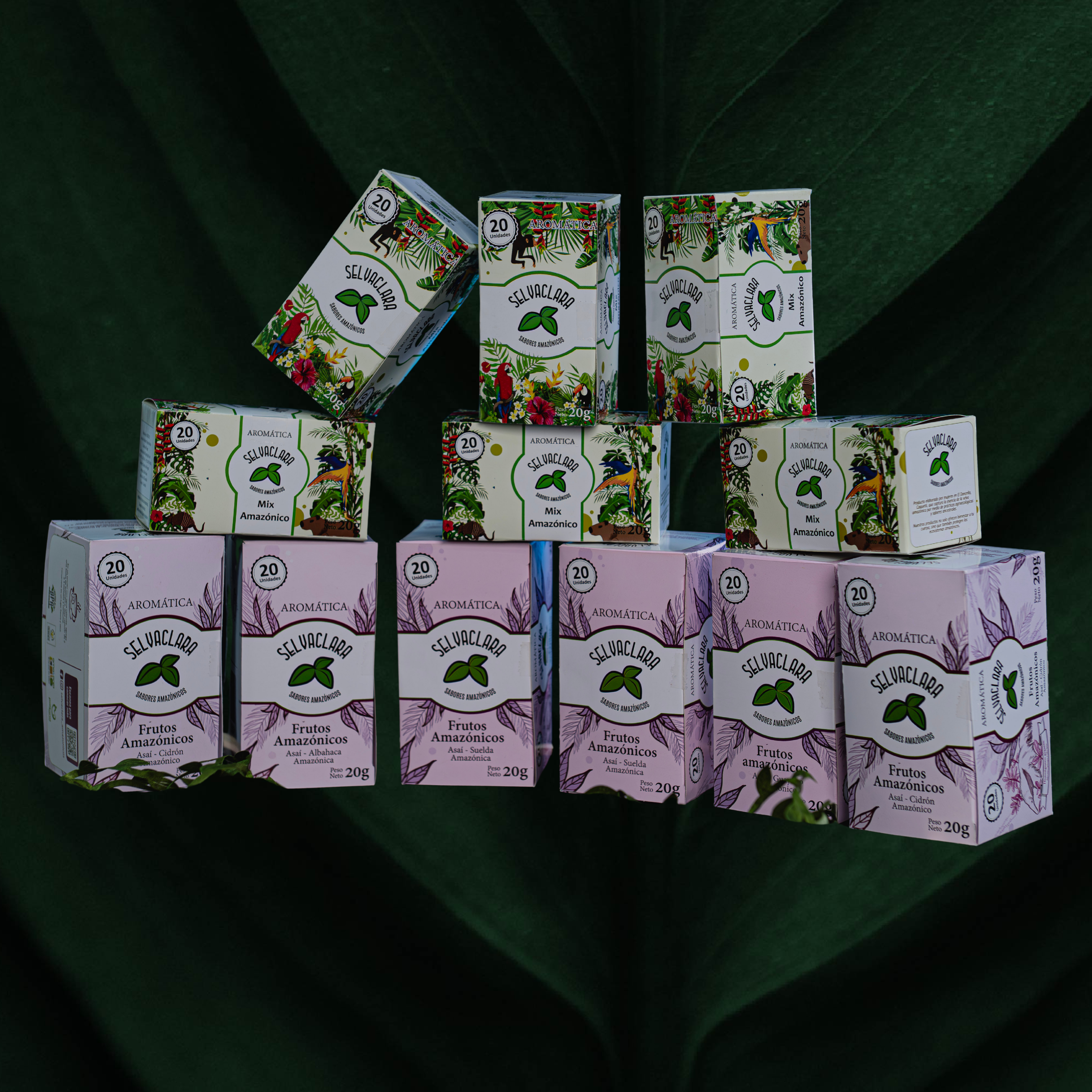 Infusiones Amazónicas de Asaí- Selvaclara - Colección Amazonía Asaí