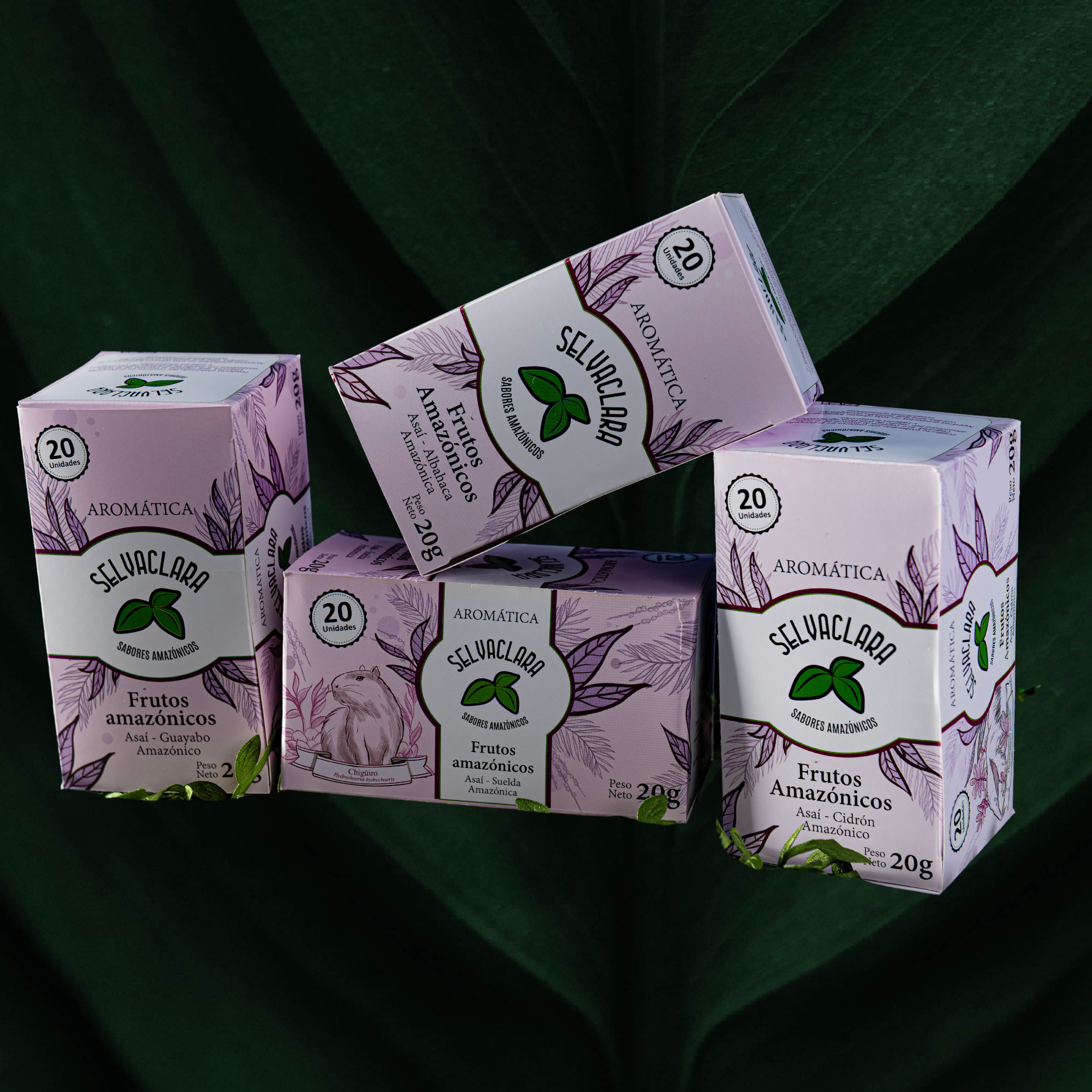 Infusiones Amazónicas de Asaí- Selvaclara - Colección Amazonía Asaí