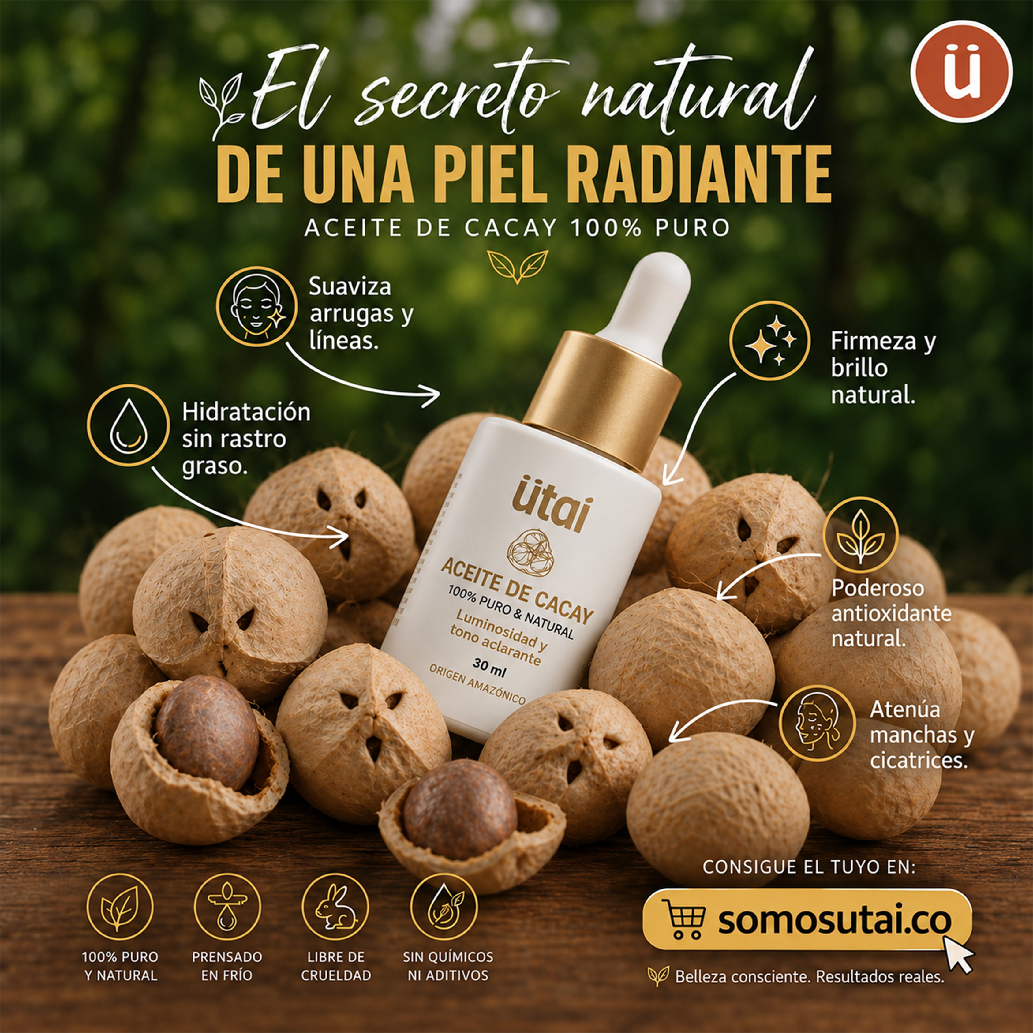 Aceite de Cacay